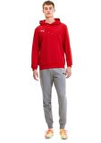 Puma Erkek Sweatshirts Teamgoal 23 Causals Hoody 65658001